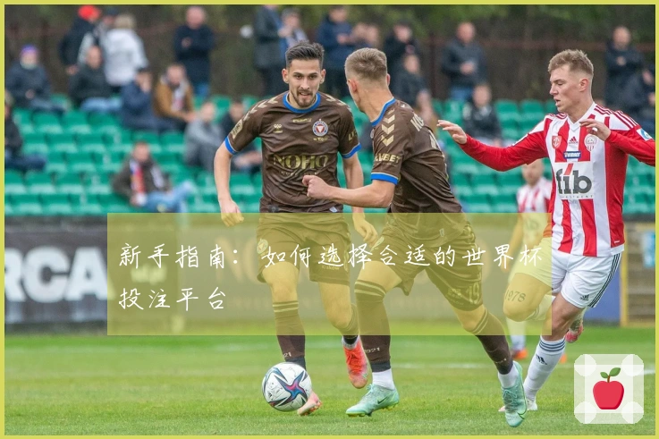 新手指南：如何选择合适的世界杯投注平台
