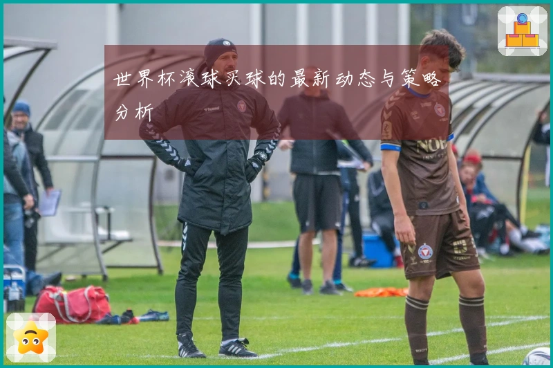 世界杯滚球买球的最新动态与策略分析