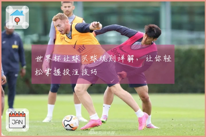 世界杯让球买球规则详解，让你轻松掌握投注技巧
